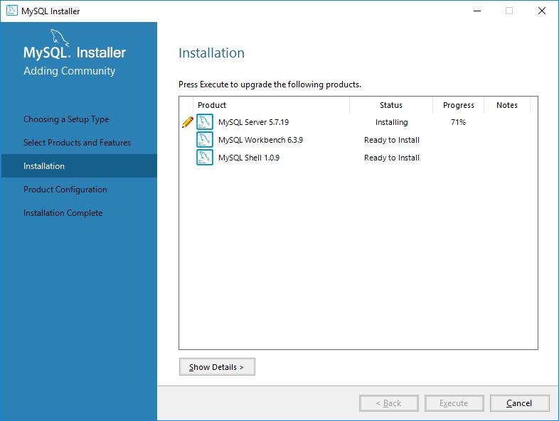 installation_execute_in_progress.jpg